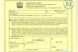 京华无犯罪记录翻译公司